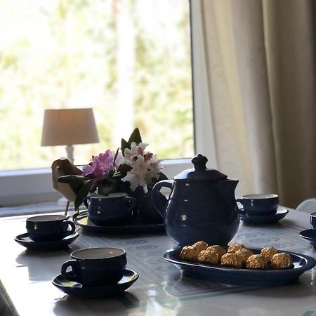 Haus Alma 1 Apartment Wardenburg ภายนอก รูปภาพ