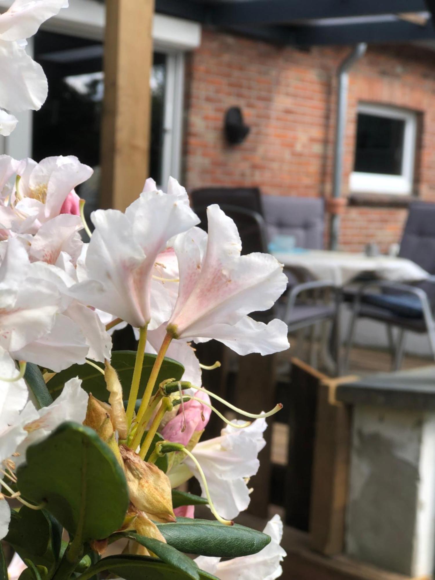 Haus Alma 1 Apartment Wardenburg ภายนอก รูปภาพ